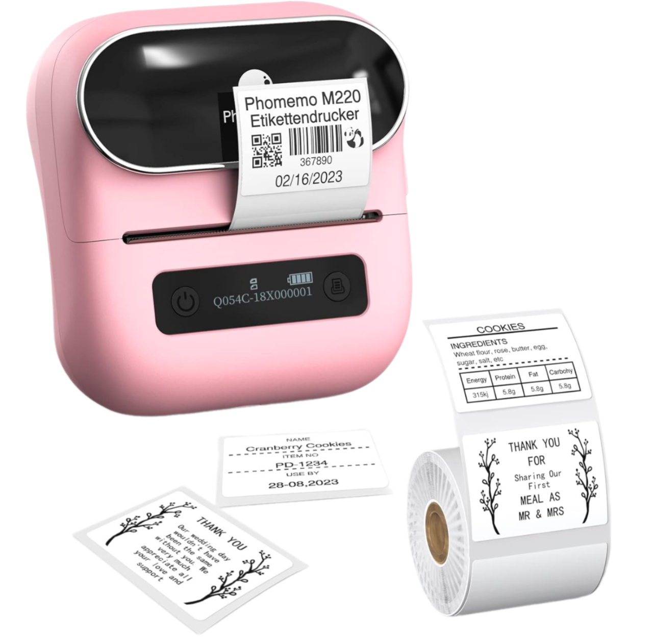 Mini Imprimante Phomemo M220